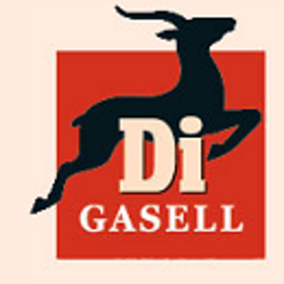 3bits Gasellföretag Dagens industri