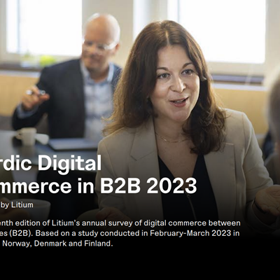 Litium's B2B Digital Commerce Report with tips and advice